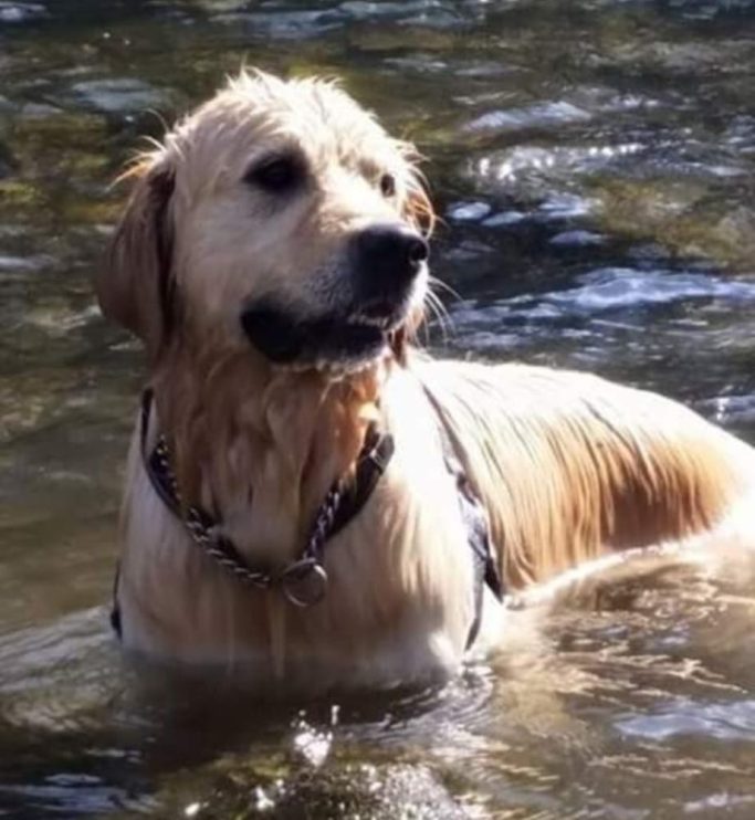 Cooper’s Story