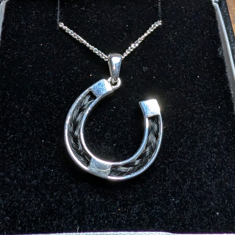 Silver horseshoe pendant on a chain, displayed on a black velvet background.